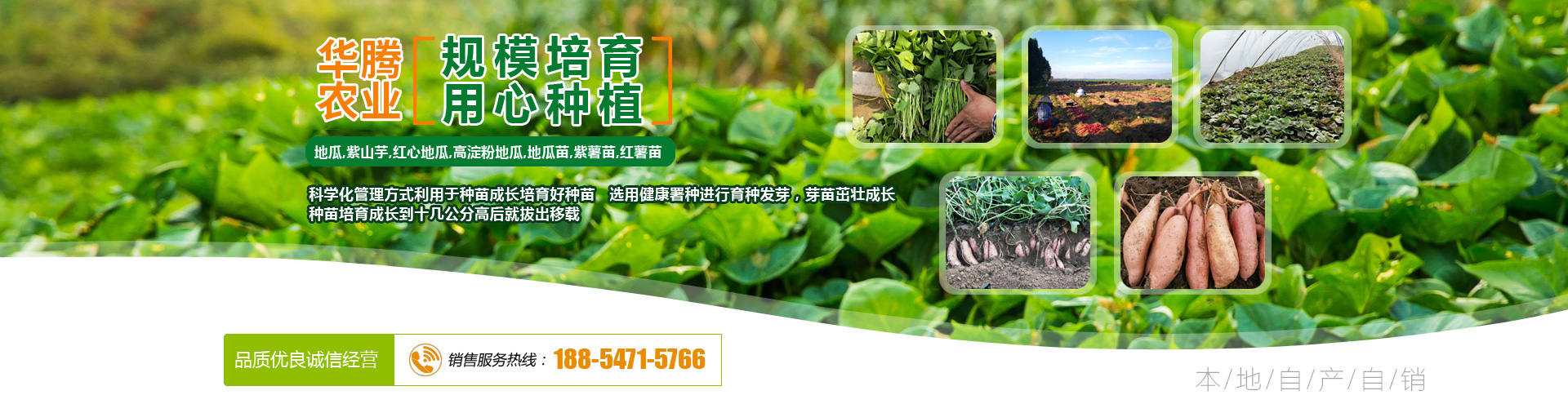 金越機械設(shè)備